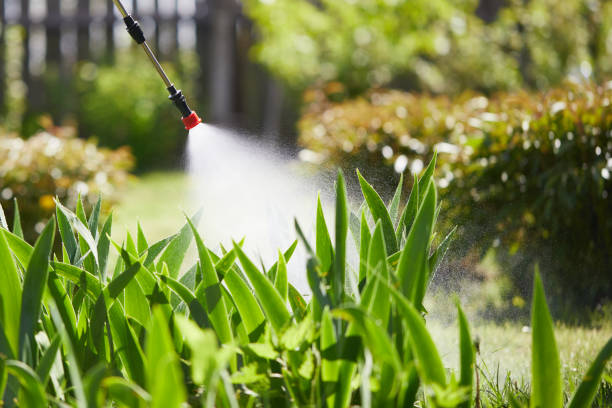 24/7 Emergency Mosquito Control experts in Glen Dale, WV