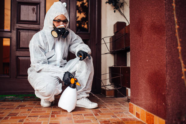 Reliable Mosquito Control contractor in Glen Dale, WV by Nex Pest Control