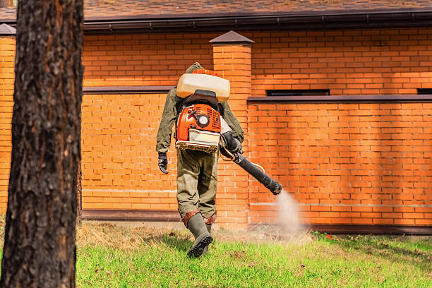 Trusted Rodent Control service in Glen Dale, WV - Nex Pest Control